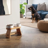 Alimentador Bench - Branco