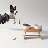 Alimentador Bench - Branco