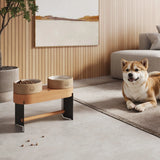 Alimentador Vector - Artesanal